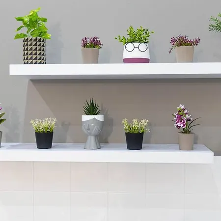 Apartman Nikolias Dream House